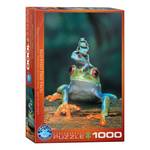 1000 Puzzle Teile Laubfrosch Rot盲ugiger