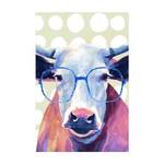 Tiere Kuh Bebrillte -