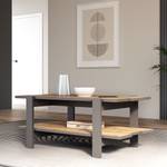 Couchtisch Leone 12 Grau - Holzwerkstoff - 110 x 46 x 60 cm