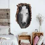 Wandtattoo - Dream of a Horse 120 x 180 cm