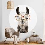 Hippes Lama mit Brille IV 75 x 75 cm