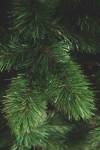 Künstlicher Weihnachtsbaum Camden Grün - Kunststoff - 69 x 120 x 69 cm