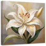 KUNSTDRUCK Lily's Graceful Bloom 2 40 x 40 cm