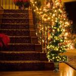 120cm LED Künstlicher Weihnachtsbaum Grün - Kunststoff - 49 x 120 x 49 cm