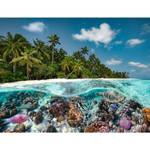 Ein Puzzle Malediven Tauchgang den auf