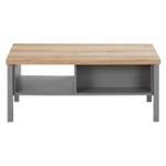 Couchtisch 2492 Grau - Holzwerkstoff - 110 x 40 x 60 cm