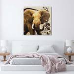 Elefant auf Tier Bild leinwand Natur