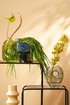 Vase Jay Gris - 8 x 23 x 18 cm