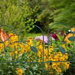 Bordure de jardin en métal 4 éléments Vert - Métal - 39 x 28 x 2 cm