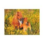 Puzzle Ponys Papier - 23 x 5 x 33 cm