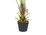 Plante artificielle FAN PALM Noir - Vert - Matière plastique - 35 x 100 x 30 cm