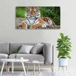 Wandbild Sibirischer Tiger Braun - Textil - Holz teilmassiv - 100 x 50 x 4 cm