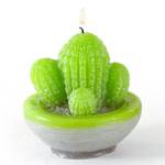 Kaktus Kerze Latexform -