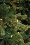 LED mit Weihnachtsbaum Sherwood
