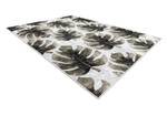 Tapis Lavable Miro 52102.801 Feuilles 160 x 220 cm