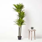 Dracaena Reflexa Kunstpflanze im Topf Grün - Kunststoff - 18 x 150 x 150 cm