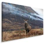 Leinwandbild Natur Hirsch BERGE Natur 3D 120 x 80 x 80 cm