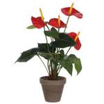 Kunstpflanze Anthurium Rot