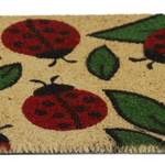 Paillasson coco avec coccinelles Marron - Vert - Rouge - Fibres naturelles - Matière plastique - 60 x 2 x 40 cm