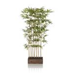 Kunstpflanze BAMBUS I Grün - Kunststoff - 60 x 150 x 30 cm