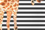 60x40 Leinwand Giraffe