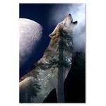 Leinwandbilder NaturTiere Wolf Mond