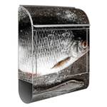 Briefkasten Stahl Fisch Salz Und