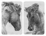Abdeckplatte Horses (2er-Set) Glas - Grau