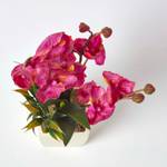 Kunstblumen Phalaenopsis Orchidee Pink - Kunststoff - 25 x 40 x 40 cm