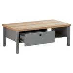 Couchtisch 2492 Grau - Holzwerkstoff - 110 x 40 x 60 cm