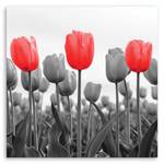 Wiese Leinwandbild auf Rote Tulpen