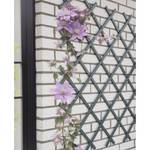 Treillis de jardin 3003032 Anthracite - 50 x 150 x 1 cm