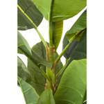 Banana Tree Pflanze Deko