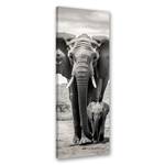 KUNSTDRUCK Elephant and Calf Gray 50 x 150 cm