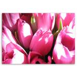 Blumen leinwand Rosa Tulpen auf Bild