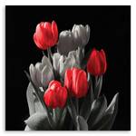Blumen Rot Natur Leinwandbild Tulpen