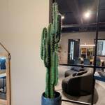 Kunstpflanzen & -blumen Cariba Grün - Kunststoff - 30 x 130 x 30 cm