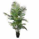 Künstliche Pflanze Areca 80 x 160 x 80 cm