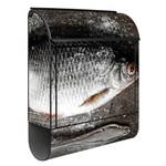 Fisch Und Stahl Briefkasten Salz