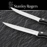 Stanley Steakmesser-Set Edelstahl Rogers