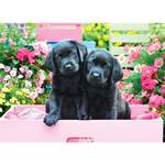 Pink Labs in Box Puzzle Black
