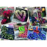 Blumen 1000 in York Puzzle Teile New