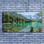 Glasbild Gebirge See Wald Natur Grau - Glas - 140 x 70 x 1 cm