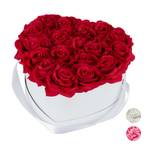 Weiße Rosenbox Herz mit 18 Rosen Rot - Weiß - Papier - Kunststoff - Textil - 21 x 13 x 19 cm
