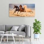 Wandbild Pferde im Galopp Beige - Textil - Holz teilmassiv - 100 x 50 x 4 cm