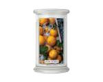 Gro脽e Citrus Classic Candle Iced