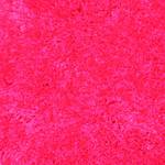 Teppich Rasperry Pink - 70 x 140 cm