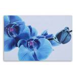 leinwand Orchidee auf Blau Blumen Bild