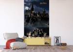 Fototapete Harry Potter Hogwarts 601230 Naturfaser - Textil - 270 x 150 x 150 cm