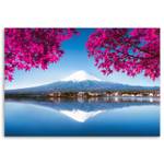 Leinwandbild Berg See Bl盲tter Rosa Fuji